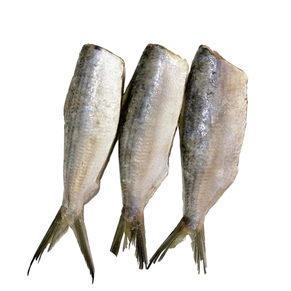 Sardinha lage